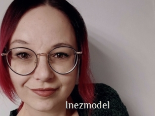Inezmodel