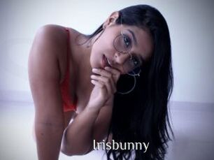 Irisbunny