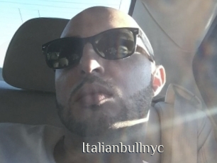 Italianbullnyc