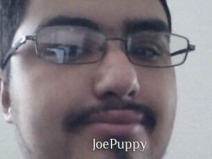JoePuppy