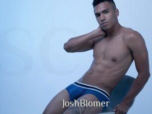 JoshBlomer Shop coquin