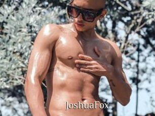 JoshuaFox