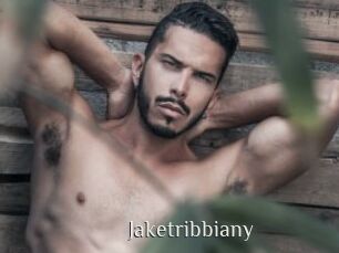 jaketribbiany Shop coquin