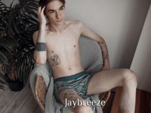 Jaybreeze