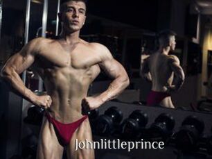 Johnlittleprince