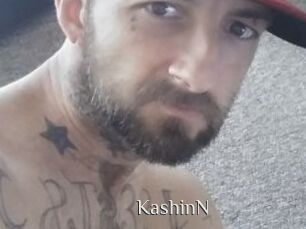 KashinN