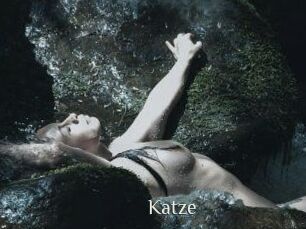 Katze