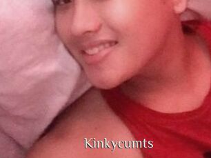 Kinkycum_ts