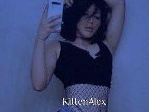 KittenAlex
