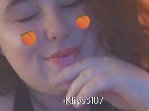 Klips3107