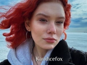 Kandicefox