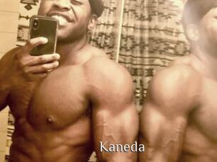 kaneda Shop coquin