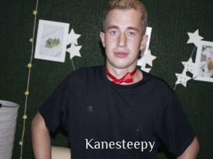 Kanesteepy