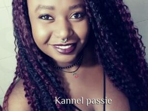 Kannel_passie