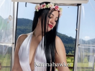 Karinahawker