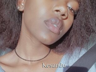 Kesandu
