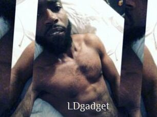LDgadget