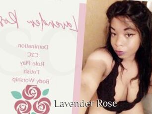 Lavender_Rose