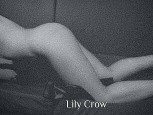Lily_Crow