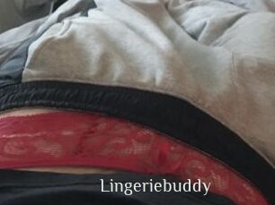 Lingeriebuddy