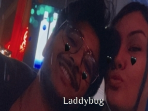Laddybug