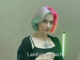 Lanitagriesbach
