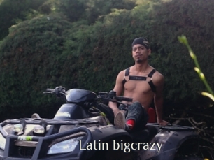 Latin_bigcrazy