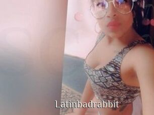 Latinbadrabbit