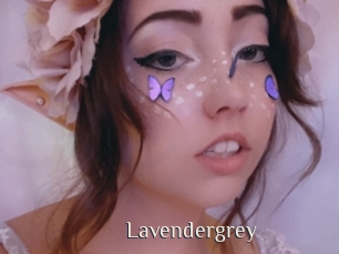Lavendergrey