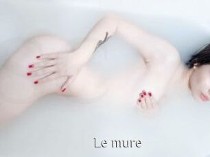 le_mure Shop coquin