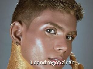 Leandrogonzlezh