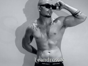 leandrosoto Shop coquin