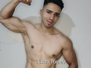 Liam_forest
