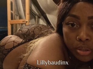 Lillybaudinx