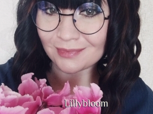 lillybloom Shop coquin