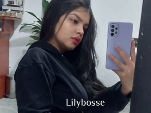Lilybosse