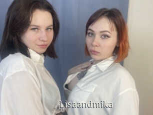 Lisaandmika