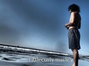 Littlecurly_marley
