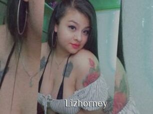 Lizhorney