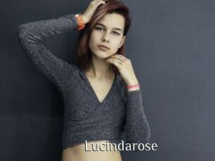 Lucindarose