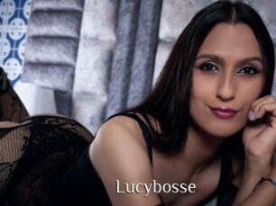 Lucybosse