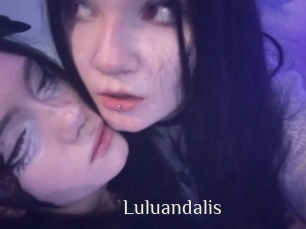 luluandalis Shop coquin
