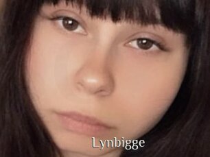 Lynbigge