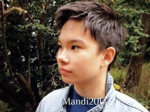 Mandi2013
