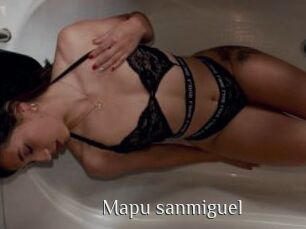Mapu_sanmiguel