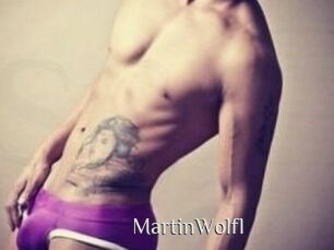 Martin_Wolfl