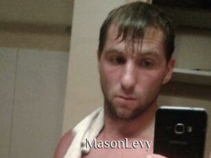 Mason_Levy