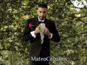 MateoCeballos