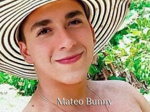 Mateo_Bunny