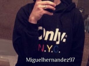 Miguel_hernandez97